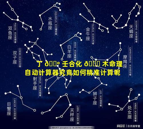 丁 🐺 壬合化 🐕 木命理自动计算器究竟如何精准计算呢